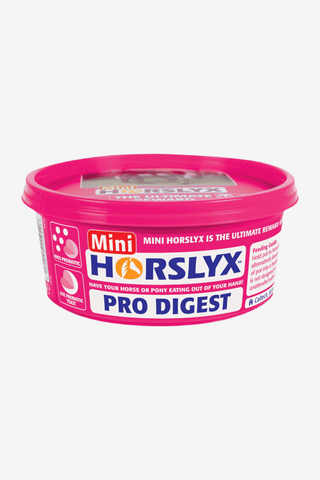 Horslyx Slicksten