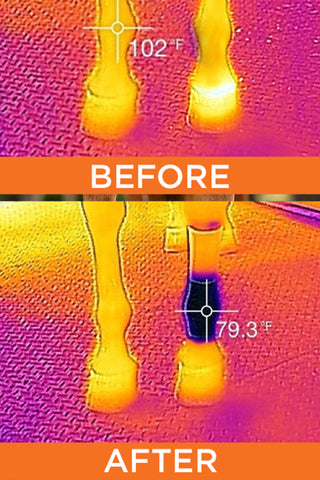 Circulation Strømper