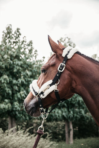 Halfter Nylon/Lammfell