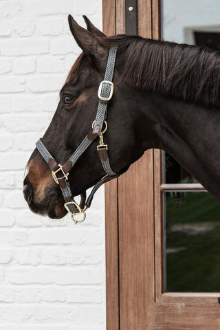 Braided Nylon Leather Halter Grey