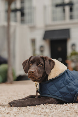 Original Hundtäcke 160g