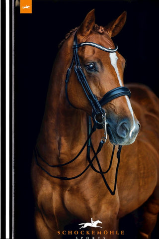 Schockemöhle Kandar Venice