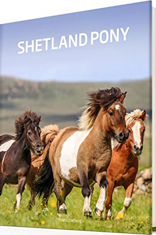 Shetlandspony Bog